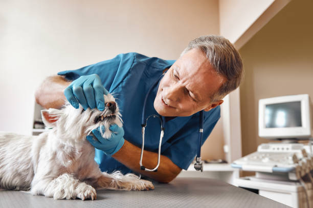 Best 24-Hour Emergency Dentist in Woodbury Heights, NJ